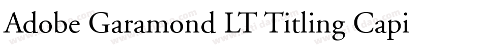 Adobe Garamond LT Titling Capitals字体转换